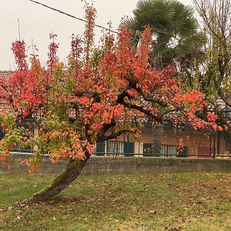 Villa Al Vecchio Pero, Con Ampio Giardino Privato à La Morra Extérieur photo